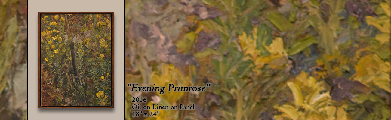 Oil Painting: Evening Primrose